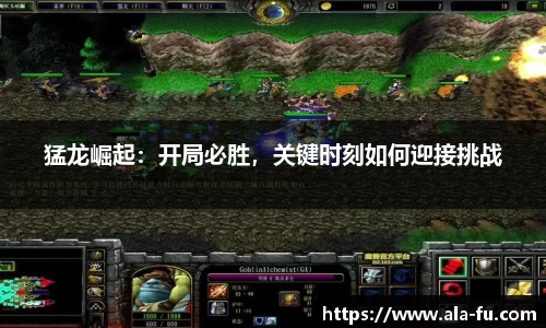 yy易游