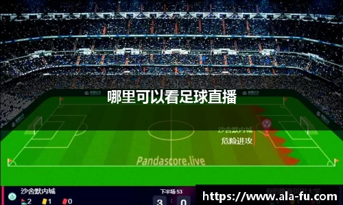 yy易游