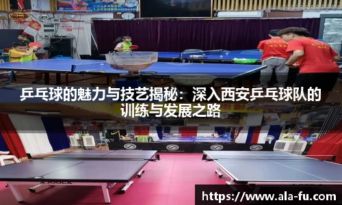 yy易游体育