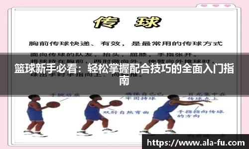 yy体育
