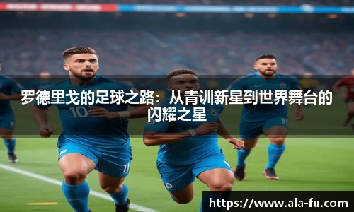 yy易游体育