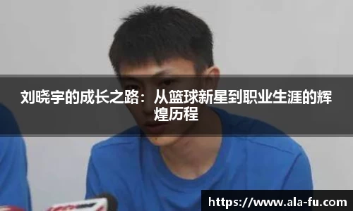 yy易游体育