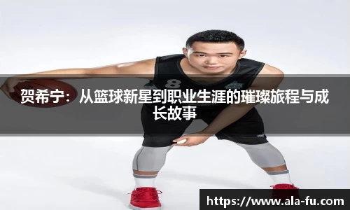yy体育